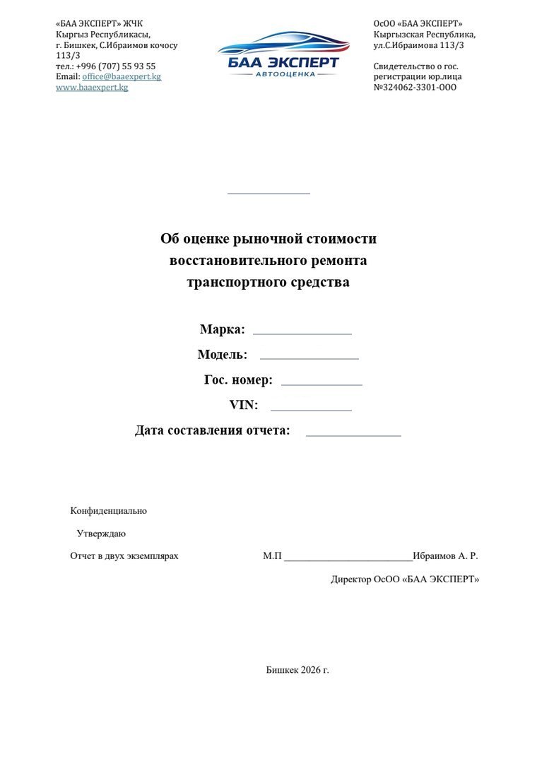 Пример первой страницы отчета BAAEXPERT